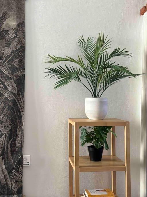 Xenia Apartments - Charming Garden Suite In Porta Venezia Milan Bagian luar foto