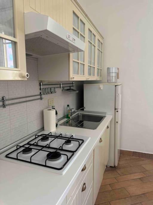 Xenia Apartments - Charming Garden Suite In Porta Venezia Milan Bagian luar foto